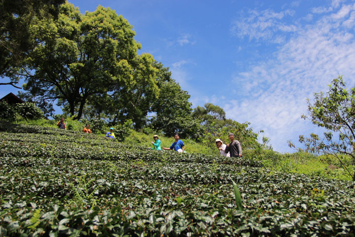 【綠色保育/生物多樣性】 動物腳印 見證阿里山豐富生命力