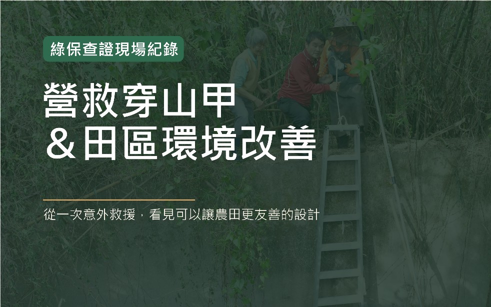 穿山甲救援錄：改善三面光蓄水池　落實農田棲地友善